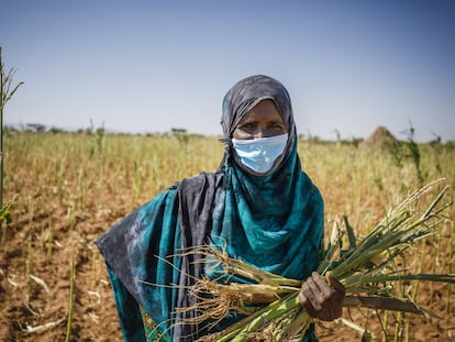 Las mujeres han sufrido desproporcionadamente el impacto de la pandemia.