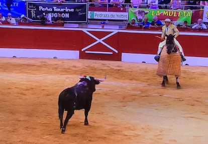 El sexto toro de la tarde acude al caballo.