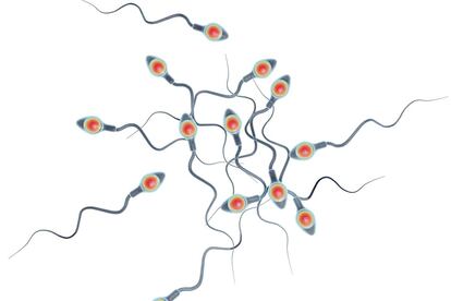 <p>La forma de moverse de los espermatozoides no es lineal, <strong>hay tres tipos de movilidad</strong>, explican los expertos: la progresiva rectilínea o tipo A, es la que siguen los espermatozoides que nadan hacia delante en línea recta; la progresiva zigzagueante o tipo B, los que nadan en zigzag hacia delante; y los de movilidad no progresiva o tipo C, que siguen los que no se mueven hacia adelante, sino que lo hacen hacuia atrás o hacia los lados. Los expertos explican que en un eyaculado hay de los tres tipos, aunque también hay espermatozoides inmóviles.</p>