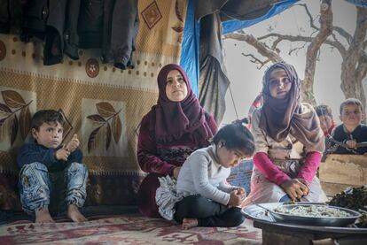 Una familia de desplazados de la provincia de Hama. En los últimos siete años se han visto desplazados en siete ocasiones por los movimientos del frente bélico.