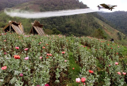 Un avi&oacute;n fumiga con Glifosato una plantaci&oacute;n de El Silencio (Colombia) en una campa&ntilde;a contra la droga, en marzo de 2002. 