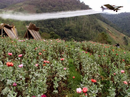 Um avião fumiga uma lavoura de El Silencio (Colômbia) com glifosato, em março de 2002.