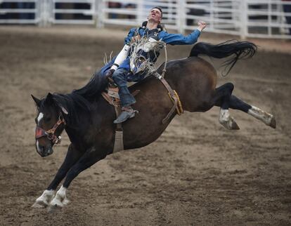 Orin Larsen, de Manitoba, monta un caballo durante una final de rodeo en Calgary, Alberta (Canada).