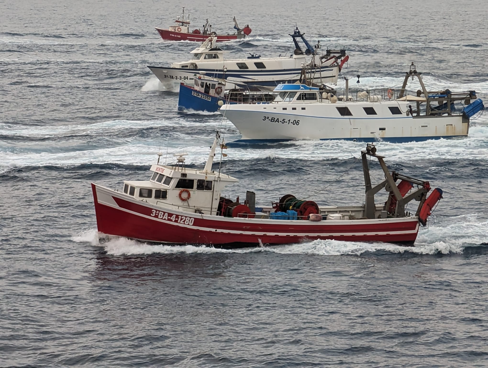 La gamba roja se regenera en Palamós gracias a las nuevas redes