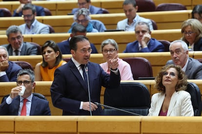 El ministro de Asuntos Exteriores, José Manuel Albares, este martes en el pleno del Senado.
