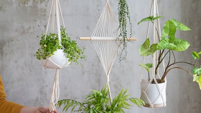 Perfectas para adornar de forma original áreas exteriores e interiores como tu salón, terraza o jardín. GETTY IMAGES.