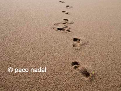 La playa de "Y tu mamá también"