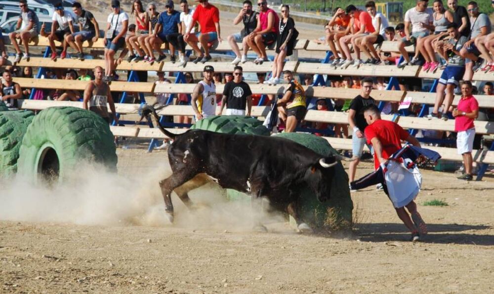 Bullfighting injuries: Spanish man dies after being gored at El Pinós ...