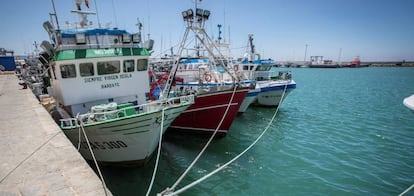 Pesqueros amarrados en el puerto de Barbate (Cádiz) tras expirar el protocolo de pesca entre Marruecos y la Unión Europea en 2014