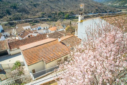 Torrecillas, donde se desarrolla la trama de 'Matadero', es un pequeño pueblo imaginado en la provincia de Zamora, entre Portugal y Valladolid, en el que los días discurren tranquilos hasta que un asesinato destapa un pastel de importación de cerdos de dudosa calidad, algunos de los cuales, además, transportan droga. Esta historia transfronteriza, protagonizada por Pepe Viyuela y Lucía Quintana, se ha rodado en Olmeda de las Fuentes (en la imagen), un pueblo de casas encaladas y menos de 350 habitantes en la Comunidad de Madrid, a 24 kilómetros de Alcalá de Henares y a 50 de Madrid capital, cerca ya de Guadalajara. Es refugio de pintores, artistas e intelectuales, tanto que se conoce a la villa como el pueblo de los artistas o la Centro de Interpretación de la Alcarria Madrileña.