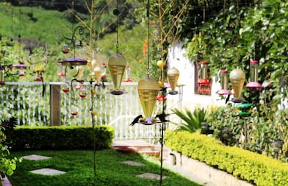 Bebederos para los colibríes en el Jardín Encantado.