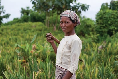 Retrato de una campesina joven de Bandarban (Bangladés). Las temperaturas en los océanos varían más despacio que en tierra o en las zonas altas de las montañas, según el estudio.