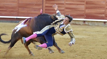 Un toro cornea a Roca Rey en Palencia. 