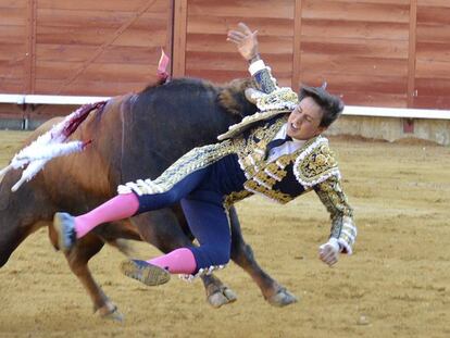 Un toro cornea a Roca Rey en Palencia. 