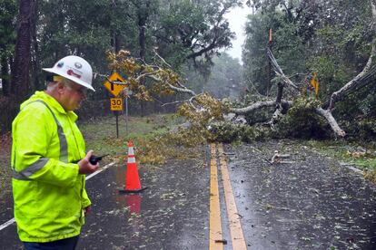 Un trabajador eléctrico evalúa los daños a las líneas eléctricas provocados por la caída de un árbol en Tallahassee, Florida. Se estima que más de 265.000 personas ya se encuentran sin electricidad.