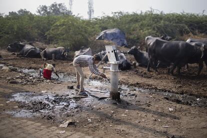 Estas fuentes para la obtención de agua bombeando manualmente están por todas partes en India. En principio, son seguras y el agua que sale de ellas es limpia. Sin embargo, las condiciones higiénicas que rodea a muchas de ellas en un país en el que casi 600 millones de personas defecan al aire libre, son deficientes. Este contexto, y la superblación de India (1.200 millones de habitantes) eran los aliados perfectos para que la polio se propagase, dado que se transmite a través de las heces de persona a persona. Sin embargo, el fin de la enfermedad fue posible.