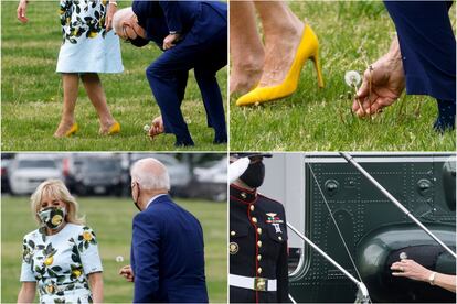 Cuatro imágenes que ilustran cómo el presidente de Estados Unidos, Joe Biden, se detiene para recoger un diente de león para la primera dama Jill Biden antes de subirse a un helicóptero cerca de la Casa Blanca, en Washington (EE UU).