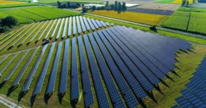 Paneles solares en una planta fotovoltáica.