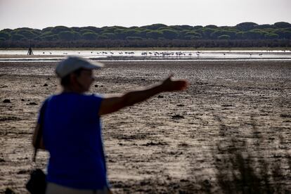 La bióloga Carmen Díaz explica la situación del parque. Al fondo, varios flamencos en la laguna de Santa Olalla.