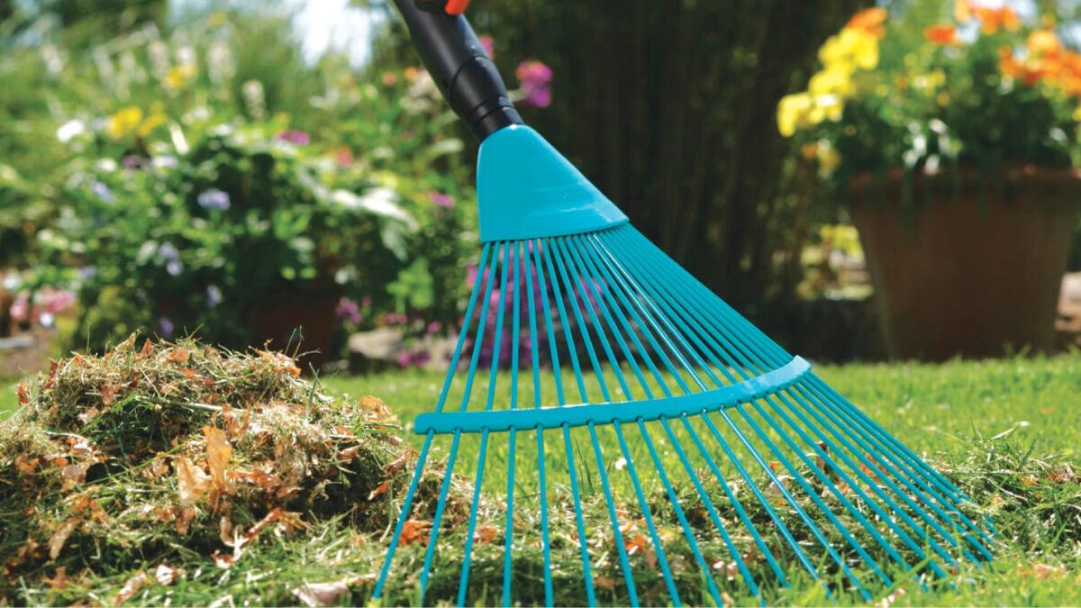 Prepara tu jardín para la primavera: el truco de jardinero para que florezca como nunca