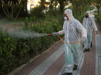 Operarios fumigan unos jardines en Coria del Río en un intento del Ayuntamiento por detener al virus del Nilo, el pasado sábado.