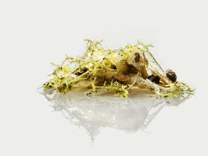 Lascas de bacalao y escarola.