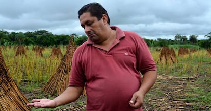 Un agricultor de comercio justo muestra su cosecha de s&eacute;samo en Arroyos y Esteros (Paraguay).