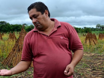 Un agricultor de comercio justo muestra su cosecha de s&eacute;samo en Arroyos y Esteros (Paraguay).