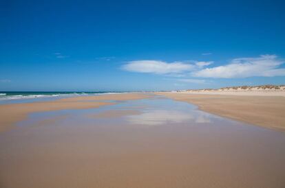 Zona virgen de la playa de El Palmar, en Vejer de la Frontera (Cádiz). |