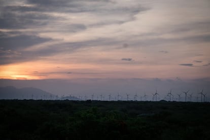 En la actualidad existen 28 parques eólicos en la zona del Istmo de Tehuantepec en Oaxaca, México. A lo lejos se observan los aerogeneradores de La Venta, Unión Hidalgo y Santo Domingo Ingenio. Hasta el momento, Ná Lupita acumula una gran victoria: que Desarrollos Eólicos Mexicanos (Demex) no haya instalado ningún aerogenerador en sus terrenos. Además, este 2021, junto con su comunidad, Ná Lupita se enfrenta a Électricité de France (EDF), empresa que busca instalar el parque eólico Gunna Sicarú en Unión Hidalgo.