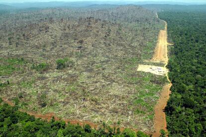 Vista aérea de una zona deforestada de la Amazonia en Pará (Brasil) captada por Greenpeace en 2004.