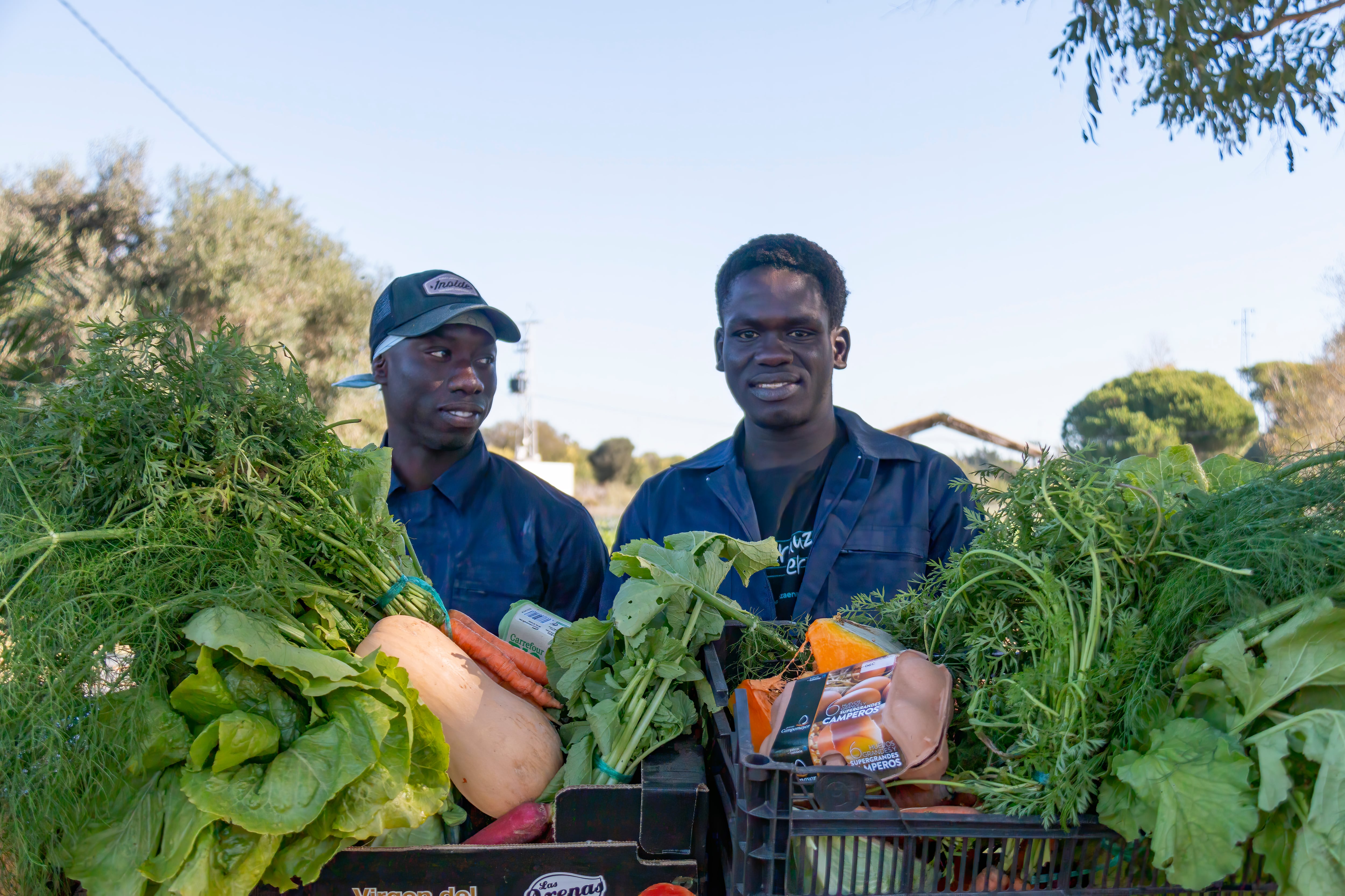 Las cajas de verduras que ayudan a salir adelante a jóvenes migrantes