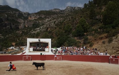 Una corrida de toros en Alfara de Carles en 2013.