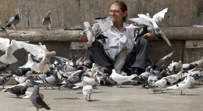 un hombre alimenta a las palomas de la plaza de la Virgen de Valencia