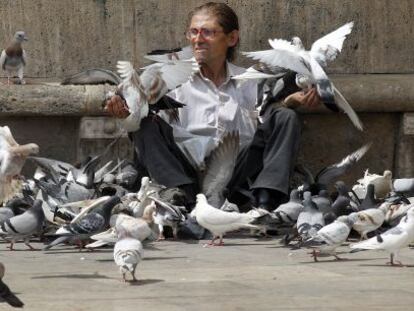 un hombre alimenta a las palomas de la plaza de la Virgen de Valencia