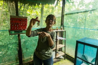 ‘Pilpintuwasi’, mariposario y centro de rescate