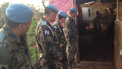 A group of soldiers wait for the veterinarians to finish a check-up.