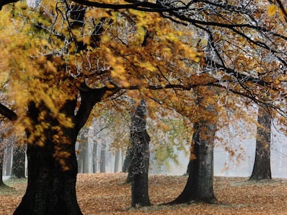 Otoño