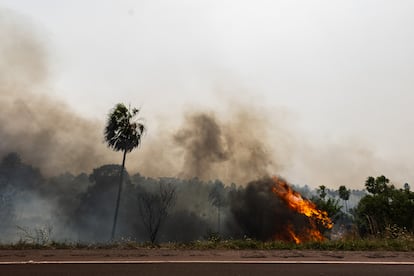 Fire devours Brazil’s Pantanal