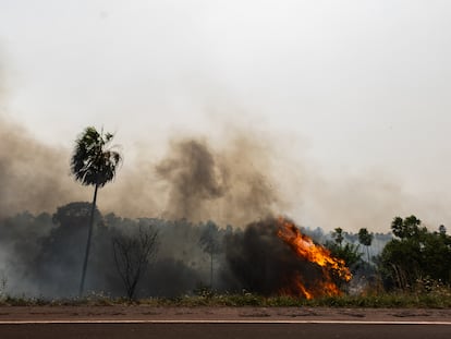 Fires burning in the Pantanal of Brazil.