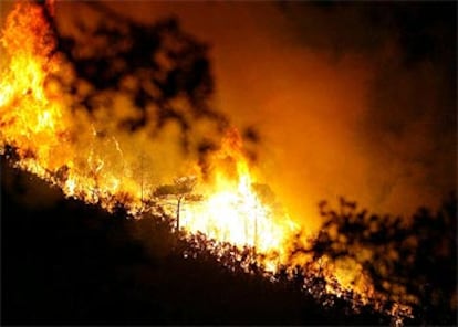 Las llamas han devorado 200 hectáreas de bosque en la zona de L&#39;Ardenya.