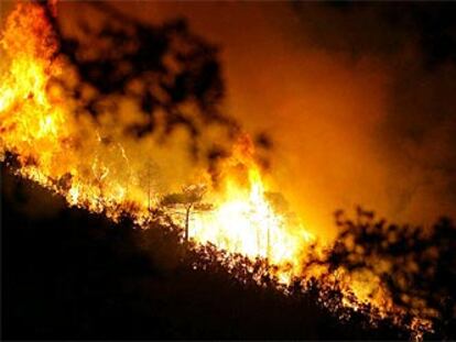 Las llamas han devorado 200 hectáreas de bosque en la zona de L'Ardenya.