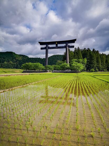 La puerta de Oyunohara, una de las más grandes de Japón.