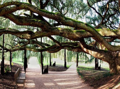 Arboretum de la Vallée-aux-Loups en los Altos del Sena, uno de los favoritos de Marco Martella. 