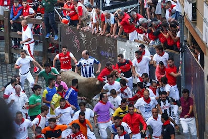 Un toro de la ganadería gaditana de Núñez del Cuvillo junto a varios mozos a su paso por la curva de Mercaderes.