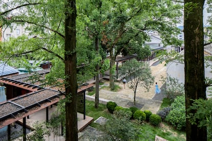 Barrio cultural de Songyang, 2020, Lishui, China. Como un puente entre la tradición y la actualidad, dos templos fueron convertidos en museo, librería y café. La vegetación del lugar fue preservada. Y los nuevos pabellones se levantaron con paredes de vidrio para contemplarla.