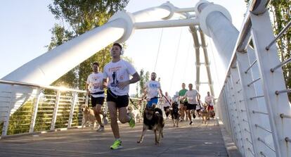 Participantes con sus perros en la carrera solidaria celebrada en Valencia.