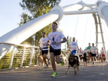 Participantes con sus perros en la carrera solidaria celebrada en Valencia.