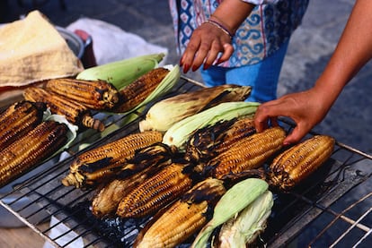 En México siempre hay un puesto de chisporroteantes elotes a la brasa cerca. Aunque pueda despistar su etimología <i>(elote</i> proviene del <i>náhuatl,</i> lengua azteca), se trata de mazorcas de maíz de carnoso grano carbonizándose hasta la perfección, y degustables por unos ocho pesos mexicanos (0,40 euros). Lima y chile picante suelen aderezar esta sencilla propuesta, que presenta variaciones regionales: al norte del país se prepara hervida y cubierta con crema de queso y chile en polvo, mientras que en Toluca o la capital, se fríe con chile y epazote, una especia muy común en México.