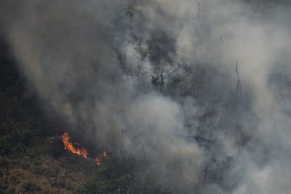 El neerlandés Pepijn Veefkind dirige el instrumento Tropomi, un sensor a bordo del satélite europeo Sentinel-5P que es capaz de identificar puntos calientes de gases contaminantes en la atmósfera. “Es cierto que los incendios a gran escala en la región amazónica ocurren todos los años. Aunque las condiciones meteorológicas puedan desempeñar un papel, hay que recalcar que la mayoría de estos focos están provocados por el ser humano”, señala. En la imagen, vista aérea de uno de los incendios cerca de Porto Velho (Brasil), el 23 de agosto.